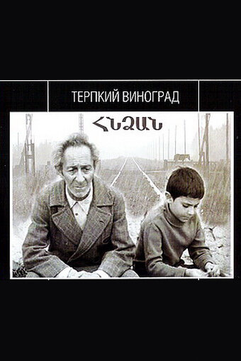 Терпкий виноград (1973) постер